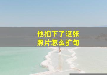 他拍下了这张照片怎么扩句