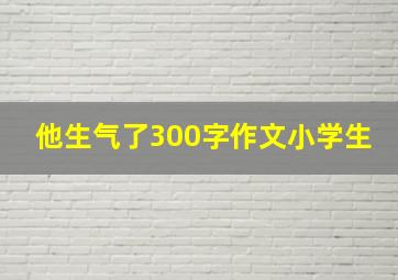 他生气了300字作文小学生