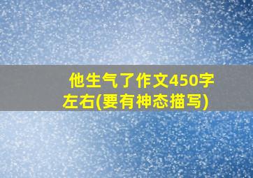 他生气了作文450字左右(要有神态描写)