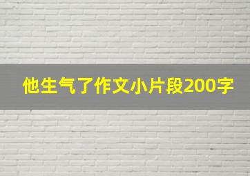 他生气了作文小片段200字