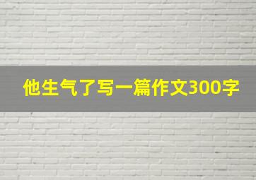 他生气了写一篇作文300字