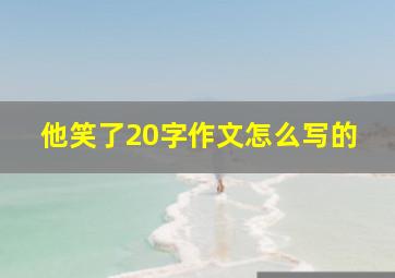 他笑了20字作文怎么写的