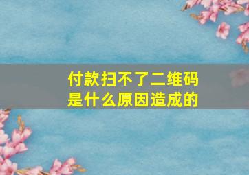 付款扫不了二维码是什么原因造成的