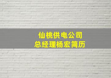 仙桃供电公司总经理杨宏简历