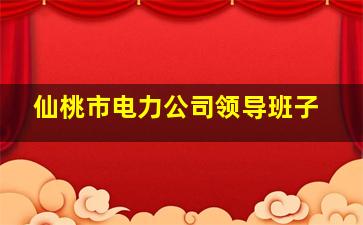 仙桃市电力公司领导班子