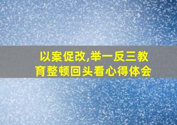 以案促改,举一反三教育整顿回头看心得体会