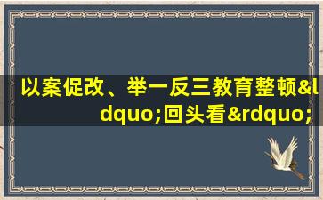 以案促改、举一反三教育整顿“回头看”自查报告