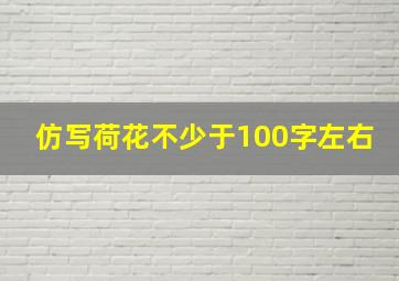 仿写荷花不少于100字左右