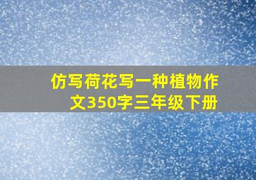 仿写荷花写一种植物作文350字三年级下册