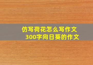 仿写荷花怎么写作文300字向日葵的作文