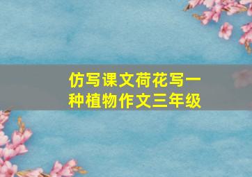 仿写课文荷花写一种植物作文三年级