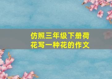 仿照三年级下册荷花写一种花的作文