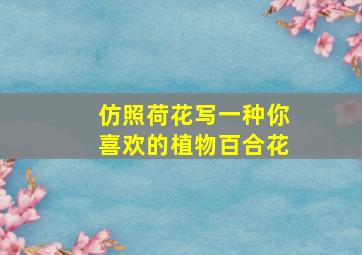 仿照荷花写一种你喜欢的植物百合花