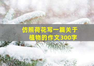 仿照荷花写一篇关于植物的作文300字