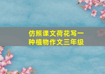 仿照课文荷花写一种植物作文三年级