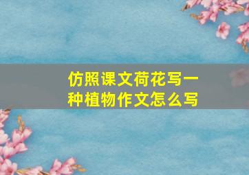 仿照课文荷花写一种植物作文怎么写