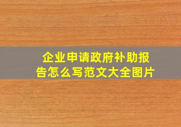 企业申请政府补助报告怎么写范文大全图片