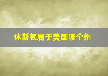 休斯顿属于美国哪个州