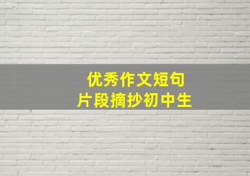 优秀作文短句片段摘抄初中生