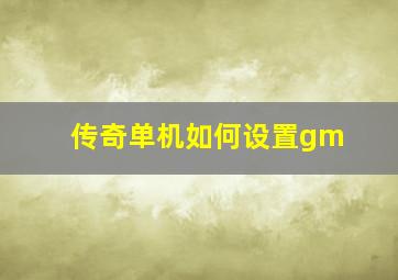 传奇单机如何设置gm