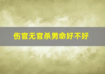 伤官无官杀男命好不好