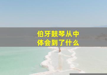 伯牙鼓琴从中体会到了什么