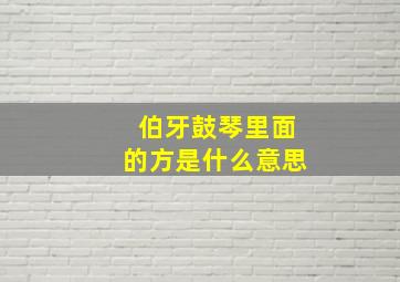 伯牙鼓琴里面的方是什么意思