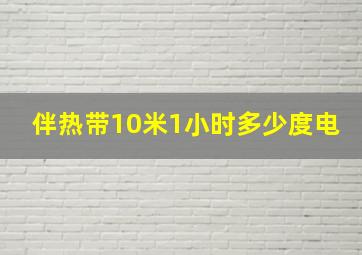 伴热带10米1小时多少度电