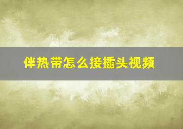 伴热带怎么接插头视频