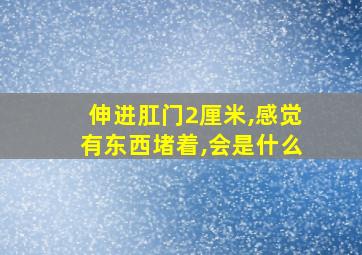 伸进肛门2厘米,感觉有东西堵着,会是什么