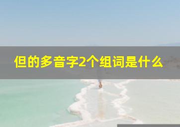 但的多音字2个组词是什么