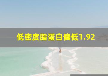 低密度脂蛋白偏低1.92