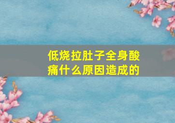 低烧拉肚子全身酸痛什么原因造成的