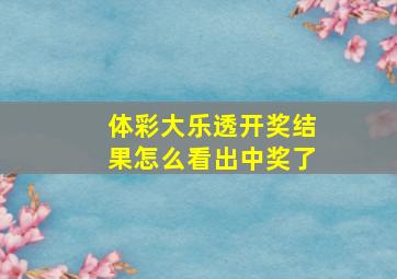 体彩大乐透开奖结果怎么看出中奖了