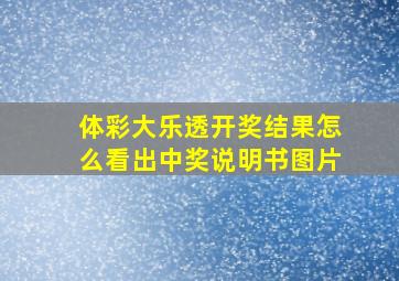 体彩大乐透开奖结果怎么看出中奖说明书图片