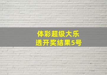 体彩超级大乐透开奖结果5号