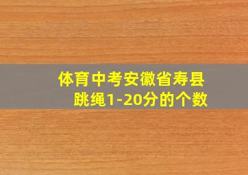 体育中考安徽省寿县跳绳1-20分的个数