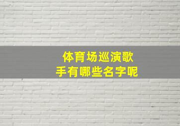 体育场巡演歌手有哪些名字呢