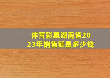 体育彩票湖南省2023年销售额是多少钱