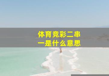 体育竞彩二串一是什么意思