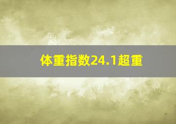 体重指数24.1超重