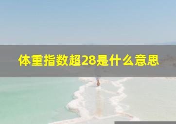 体重指数超28是什么意思