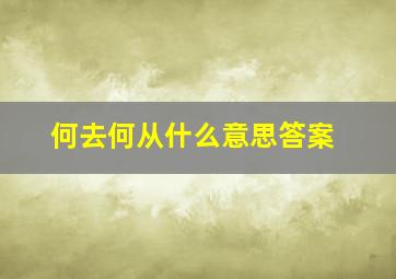 何去何从什么意思答案