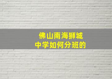 佛山南海狮城中学如何分班的