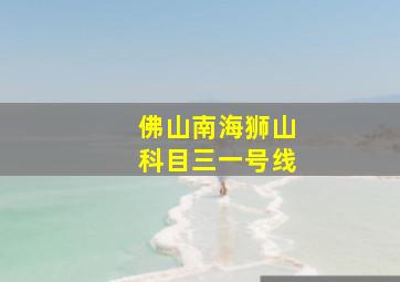 佛山南海狮山科目三一号线