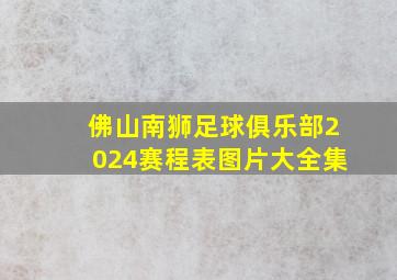 佛山南狮足球俱乐部2024赛程表图片大全集