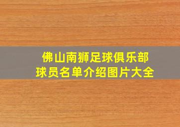 佛山南狮足球俱乐部球员名单介绍图片大全