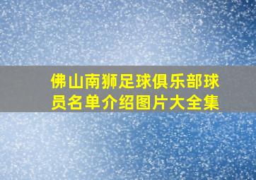 佛山南狮足球俱乐部球员名单介绍图片大全集