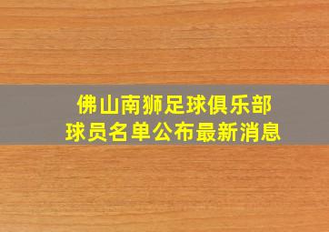 佛山南狮足球俱乐部球员名单公布最新消息