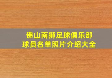 佛山南狮足球俱乐部球员名单照片介绍大全